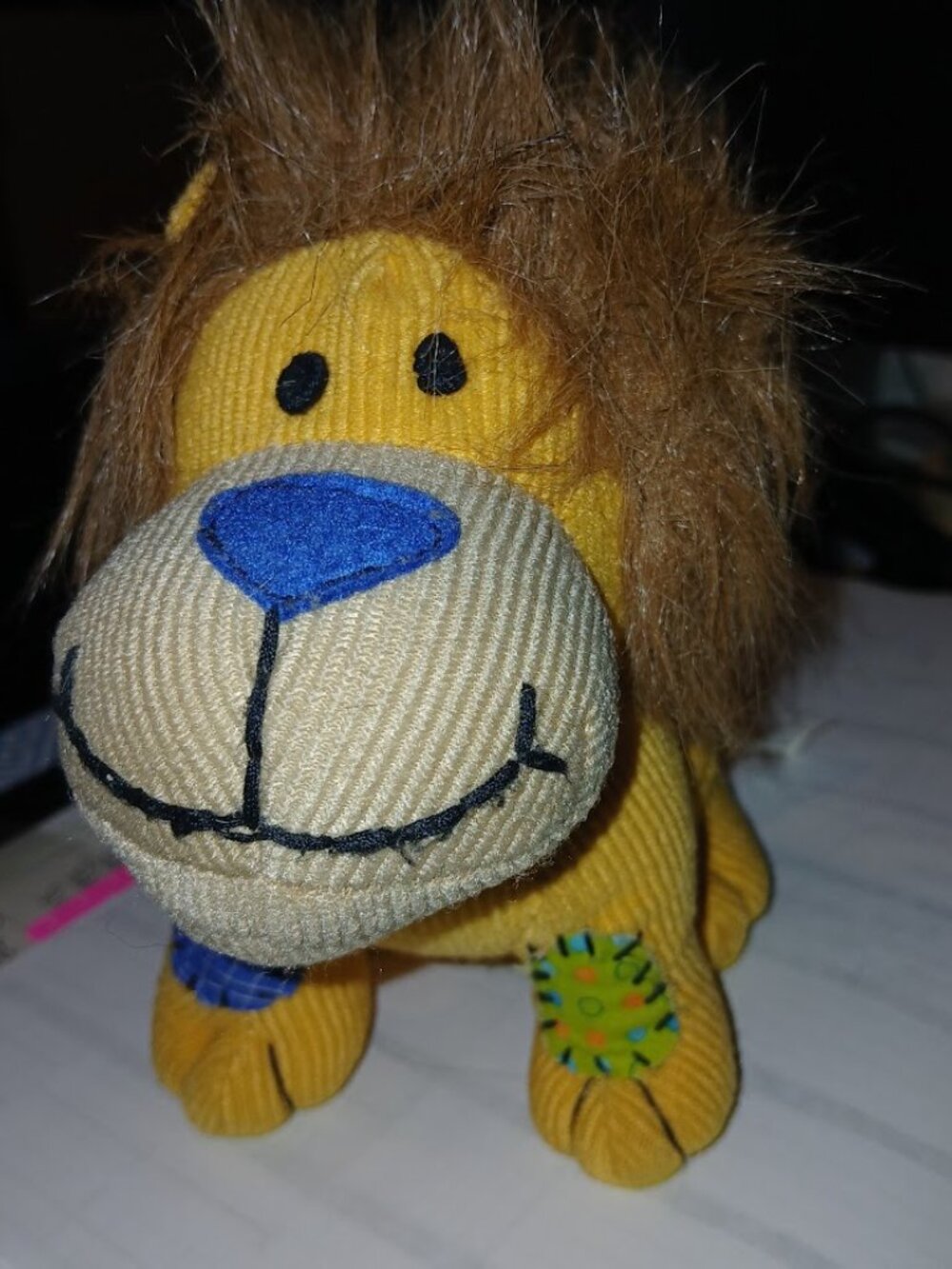 Book - R - Fun Lion